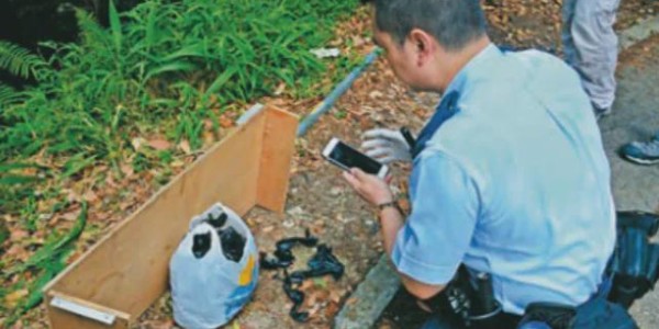 火博体育登录入口-香港富豪孙女被绑架，绑匪拿到2800万后逃跑，警方最新透露：女事主镇定、有条理，一个线索成破案关键